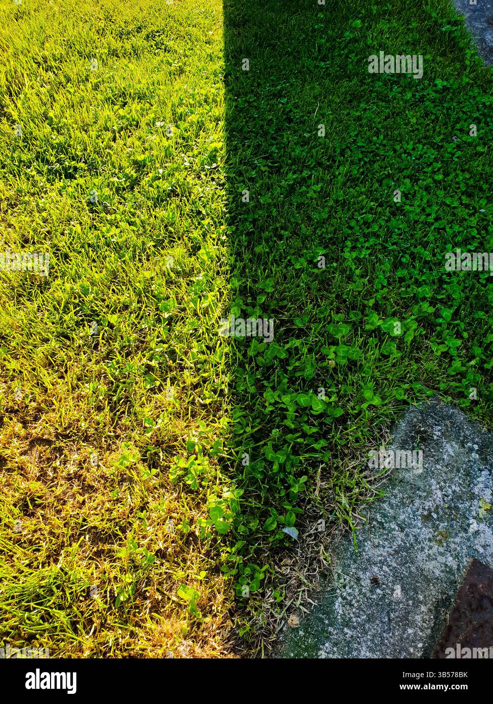 Due lati diversi del prato verde Foto Stock