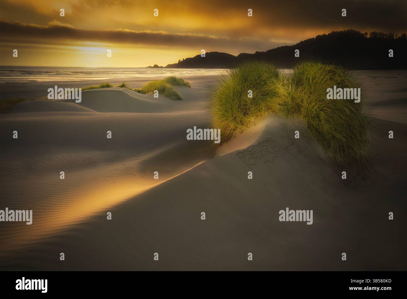 Dune e tramonto a Little Creek Cove, Oregon Foto Stock