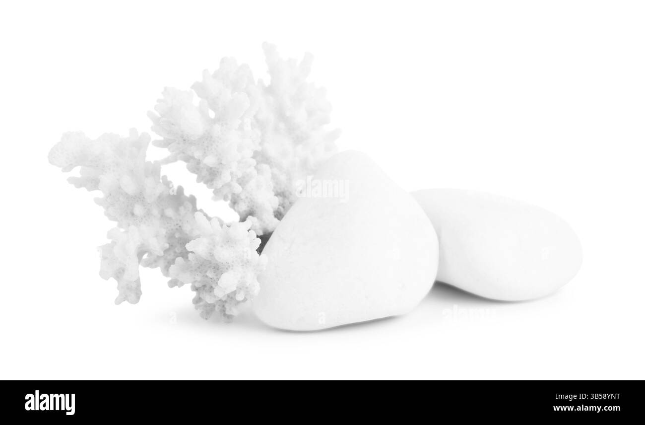 Bellissimi coralli e pietre isolate sul bianco Foto Stock