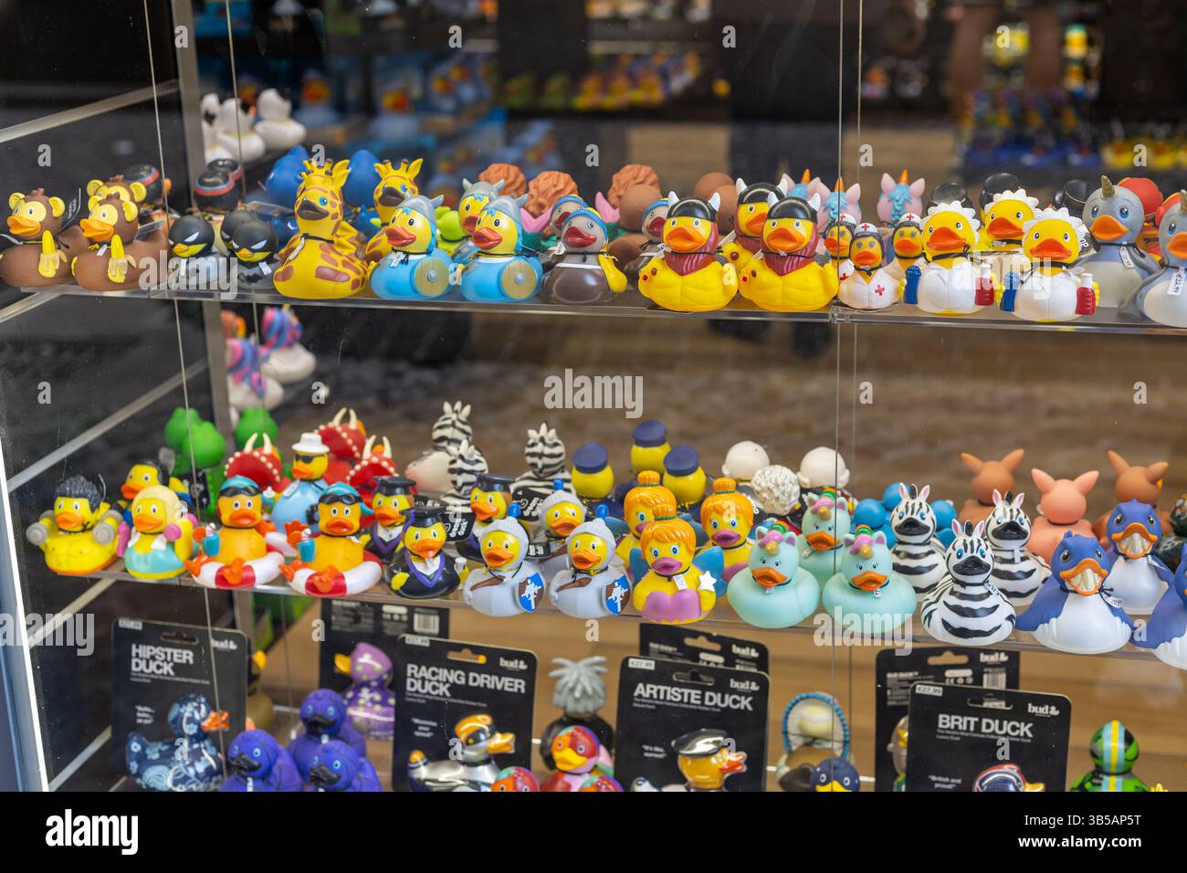 ROM, Italien - 23 aprile 2025: Una vivace varietà di anatre di gomma riempie gli scaffali di un negozio. Anatre di colori, forme e temi diversi attraggono Foto Stock