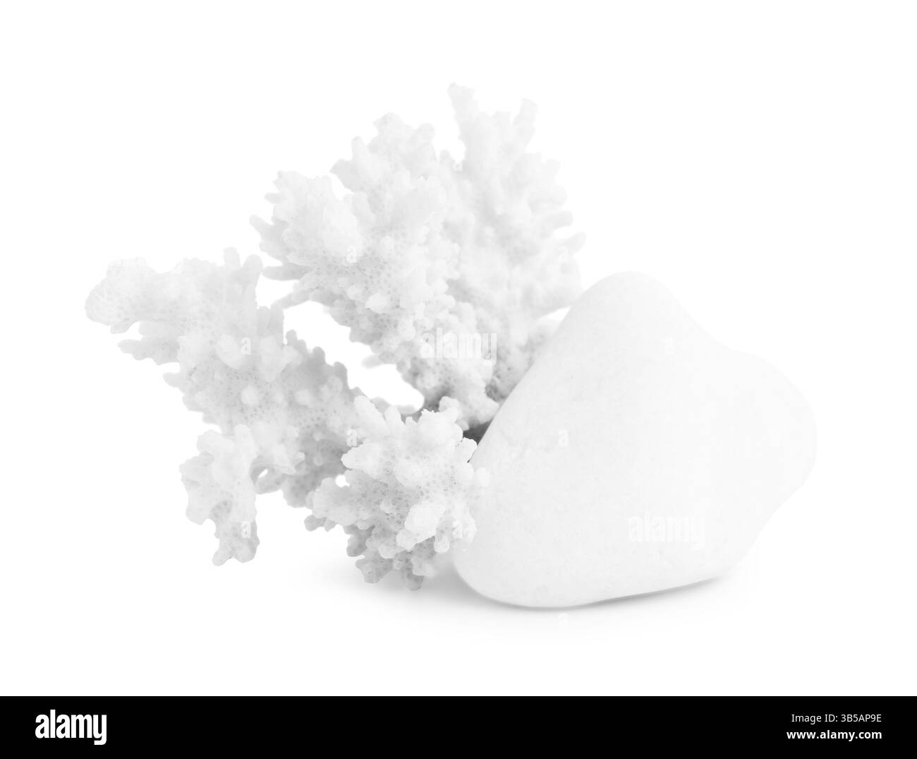 Bellissimi coralli e pietre isolati sul bianco Foto Stock