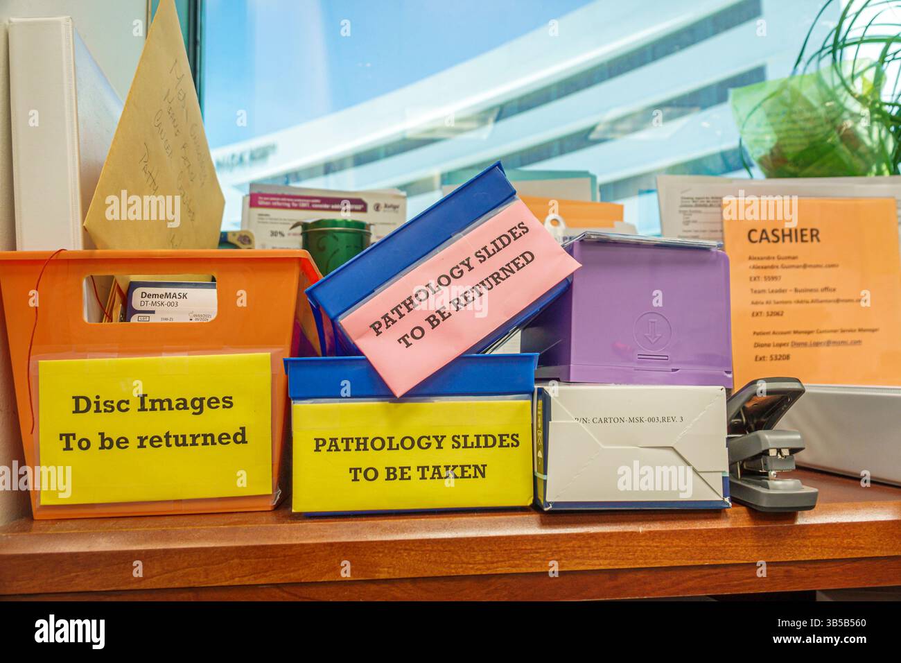 Miami Beach, Florida, Mt. Mount Sinai Medical Center ospedale, interno, ufficio ospedale workstation, scrivania amministrativa, cartelle paziente, Dis Foto Stock