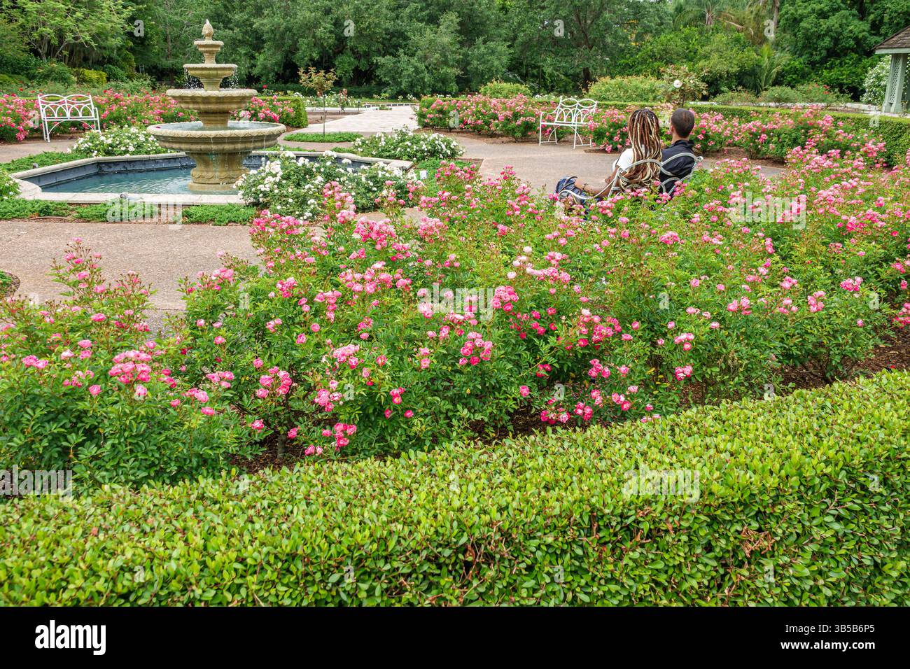 Orlando Florida, Harry P Leu Gardens, giardino botanico, Rose Garden, Black African man Woman panca per coppia, romantico momento tranquillo, bianco Foto Stock
