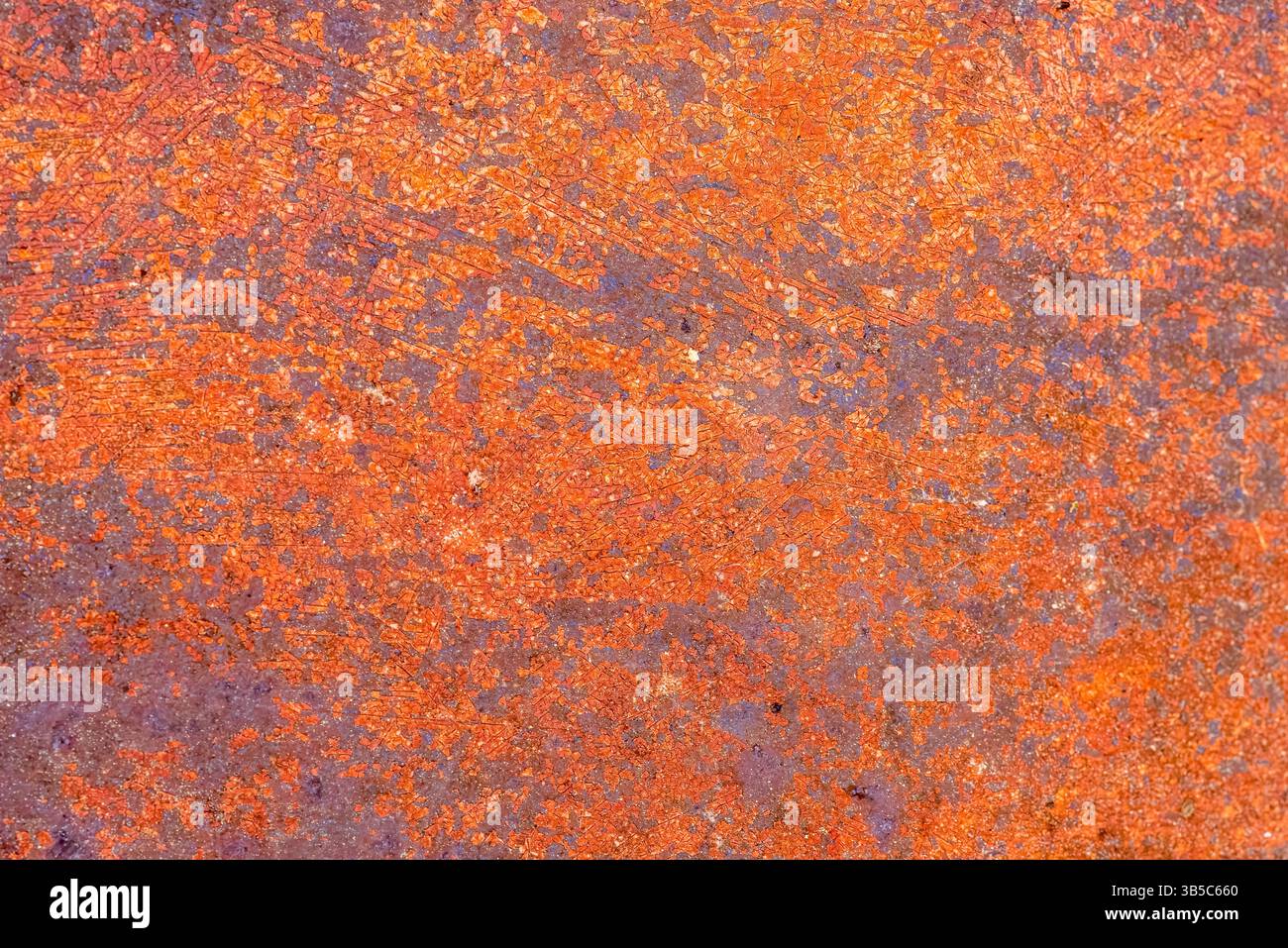 Primo piano di una consistenza astratta di ruggine in vivaci tonalità arancio e viola, che mostra un'ossidazione superficiale naturale e un decadimento industriale grintoso. Foto Stock