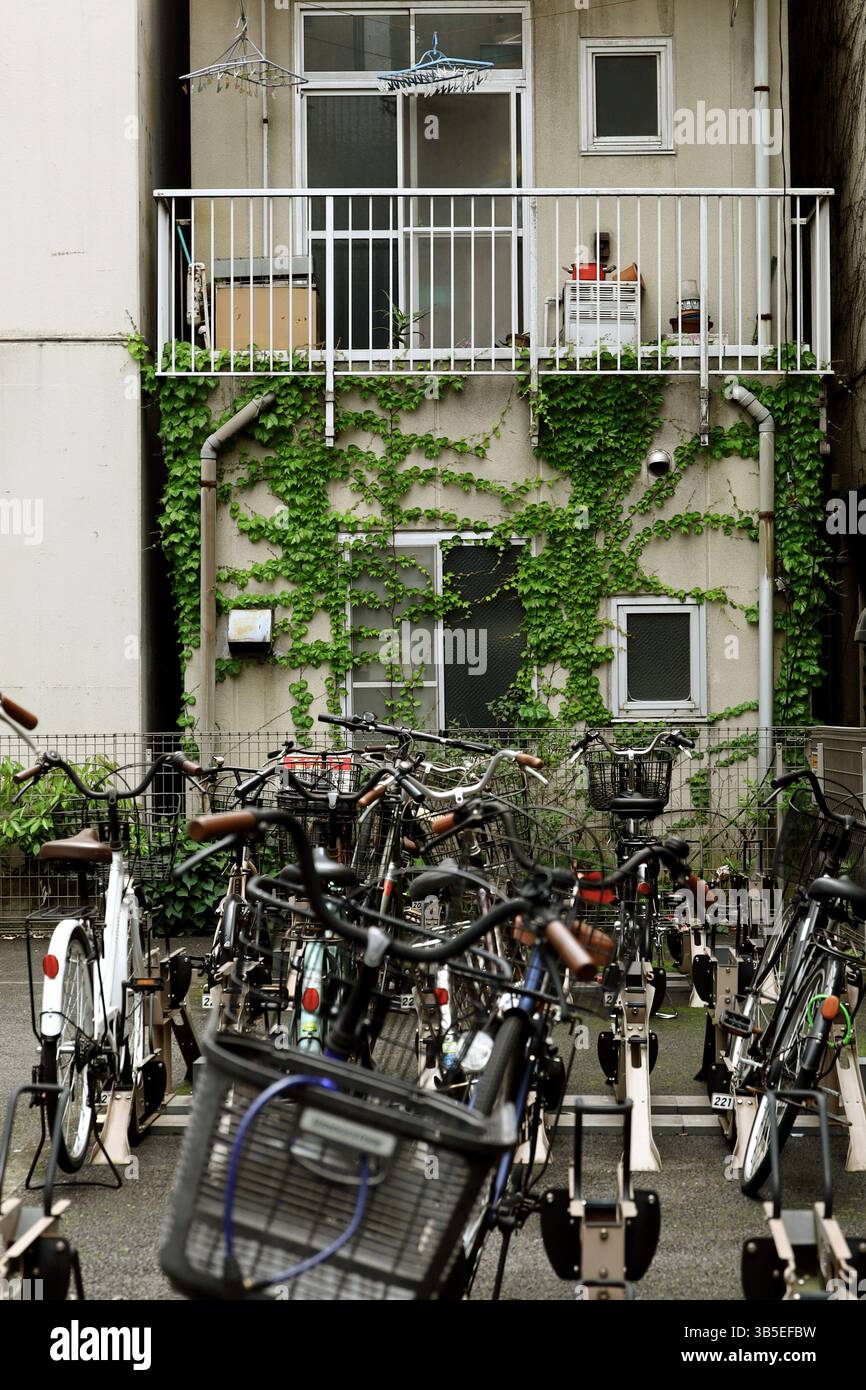 Scene di tutti i giorni in Giappone molte biciclette sono allineate in un piccolo parcheggio Foto Stock