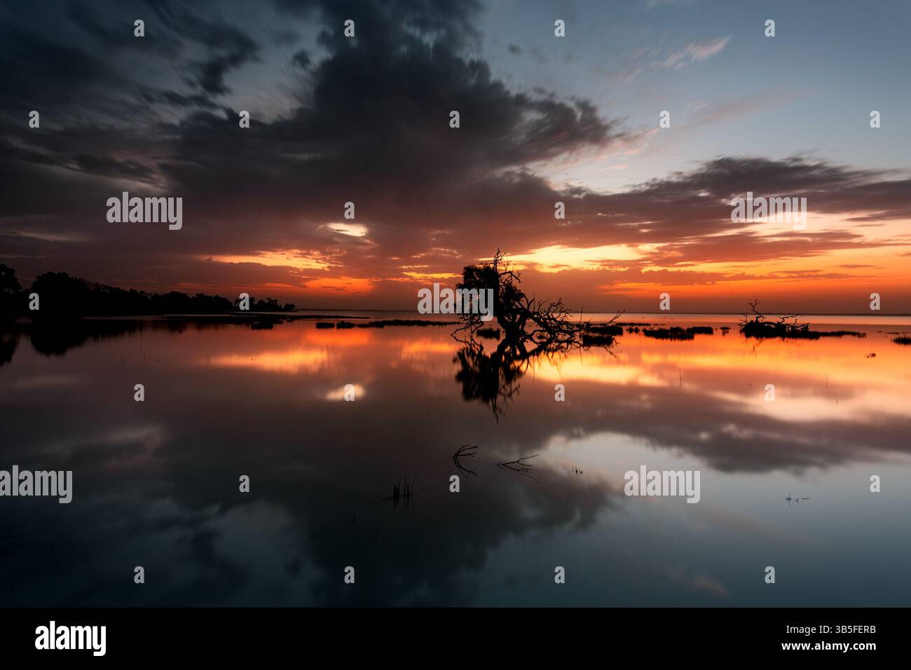 Alba sui laghi Coongie, una meraviglia naturale nel deserto dell'Australia meridionale. Foto Stock