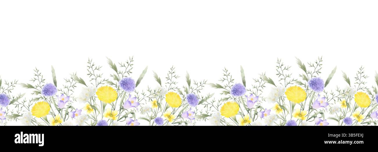 Fiori di campo, tarassio, yarrow e prato. Acquerello isolato disegnato a mano bordo senza cuciture del fiore giallo del campo lilla. Orizzontale Foto Stock