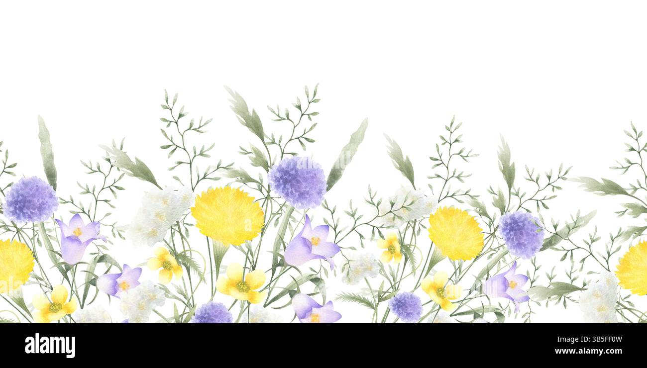 Fiori di campo, tarassio, yarrow e prato. Acquerello isolato disegnato a mano bordo senza cuciture del fiore giallo del campo lilla. Orizzontale Foto Stock