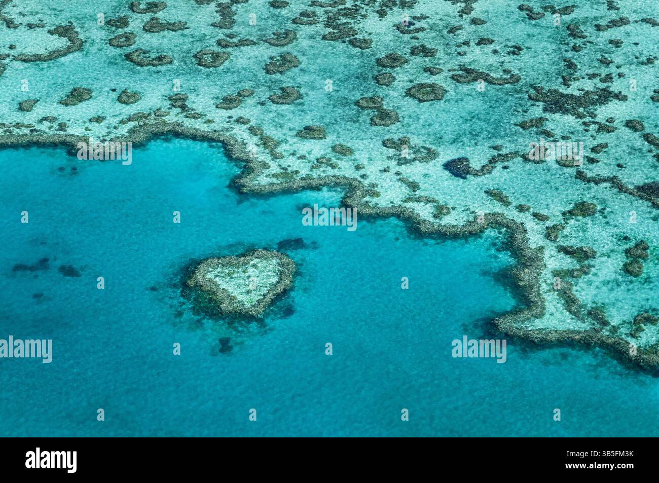 Ripresa aerea di Heart Reef nella grande Barriera Corallina, patrimonio dell'umanità dell'Australia. Foto Stock