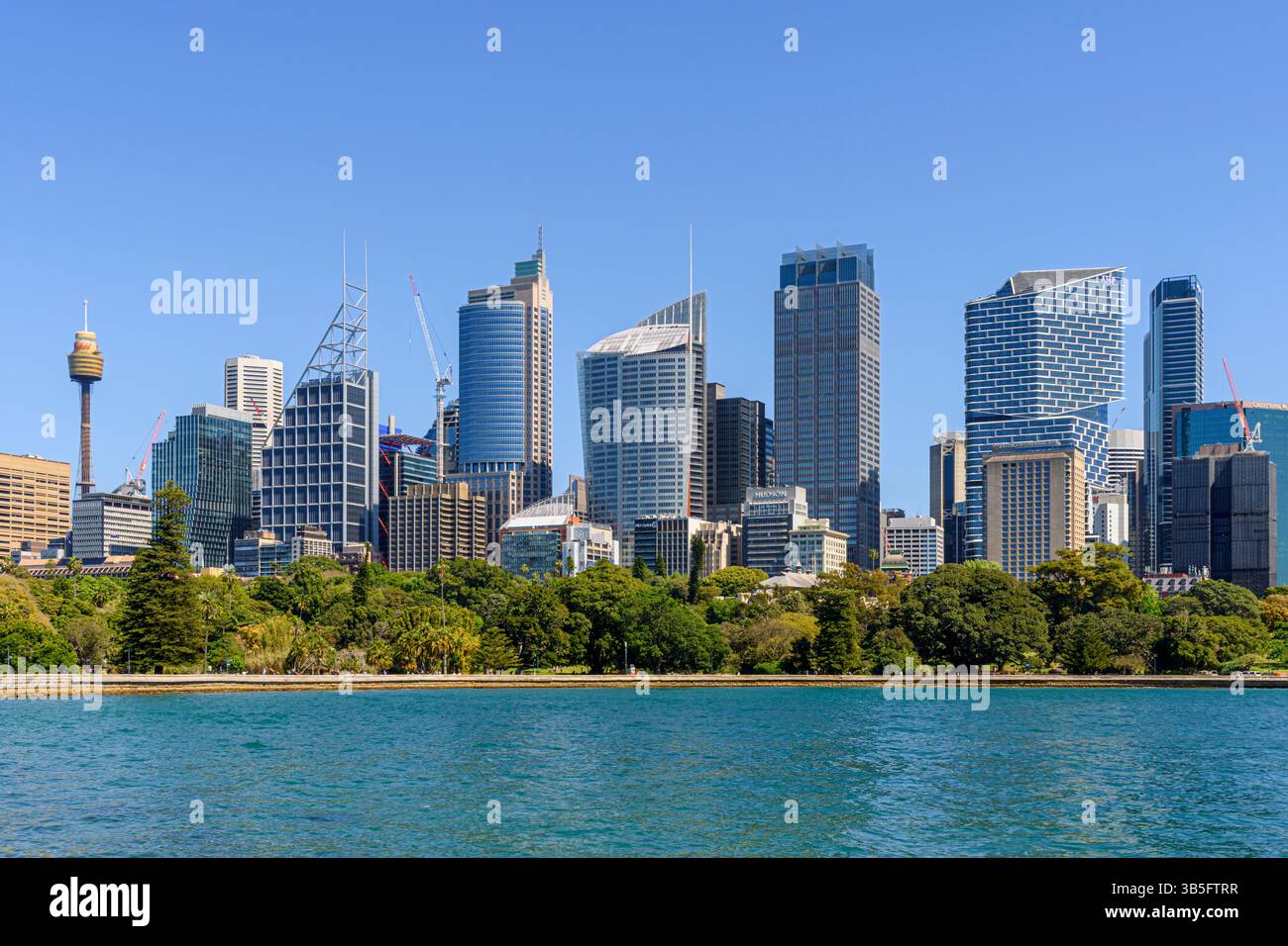 Vista della città sul Royal Botanic Garden di Sydney e sulle acque calme di Farm Cove, Sydney, New South Wales, Australia Foto Stock