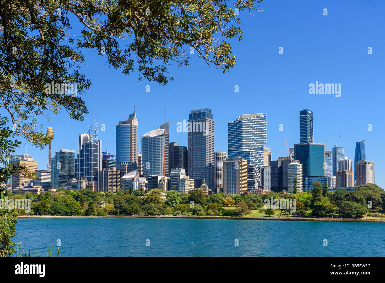 Viste incorniciate della città attraverso il Royal Botanic Garden di Sydney e le acque calme di Farm Cove, Sydney, New South Wales, Australia Foto Stock