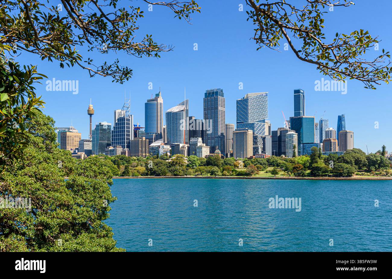Viste incorniciate della città attraverso il Royal Botanic Garden di Sydney e le acque calme di Farm Cove, Sydney, New South Wales, Australia Foto Stock