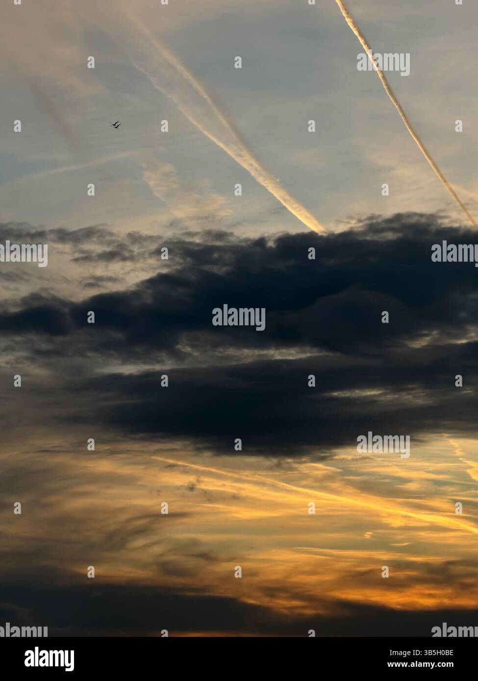 Questa immagine cattura il cielo durante il crepuscolo con più strati di nuvole e diversi contrails di aerei. Un singolo aereo sta volando in alto a sinistra Foto Stock