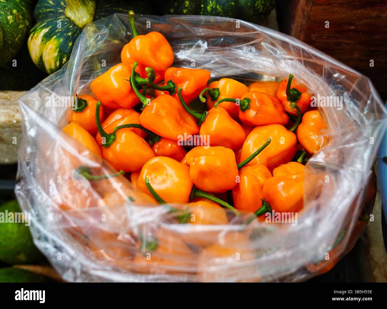 Peperoncini Habanero freschi di colore arancione in vendita in una ciotola nel mercato municipale nella storica città di Valladolid, Yucatan, Messico Foto Stock