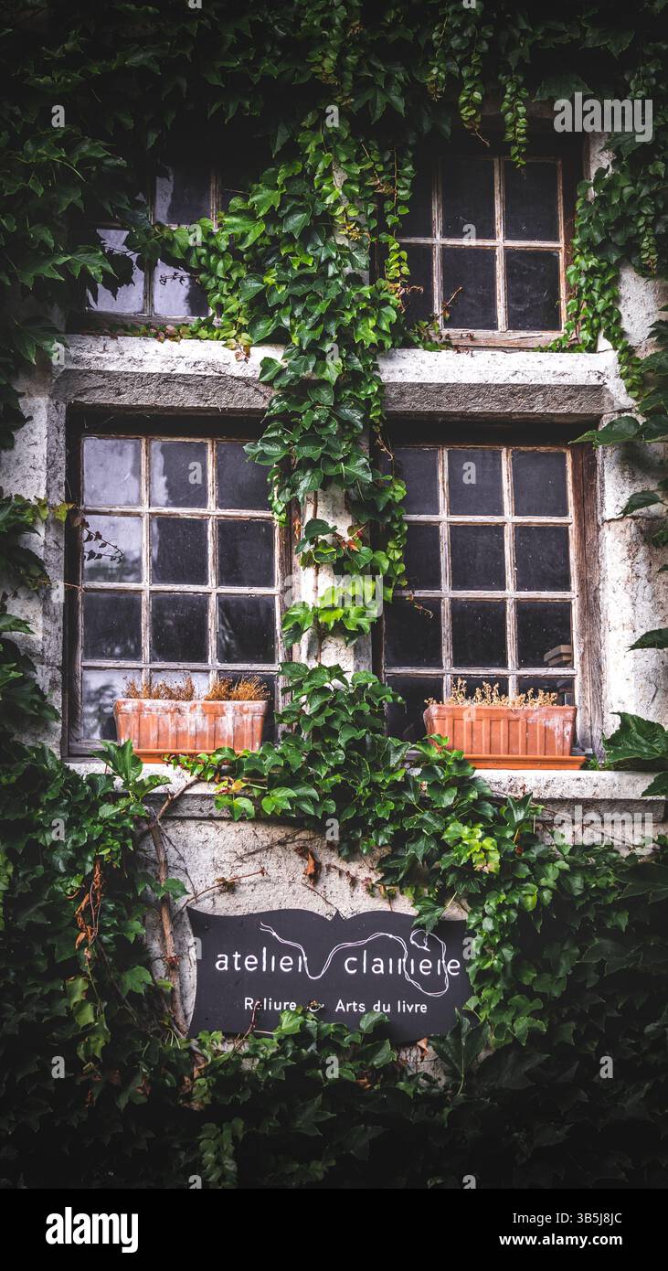 Primo piano di un'affascinante finestra incorniciata in legno su un vecchio edificio. La facciata storica è ricca di texture e carattere, con elementi naturali. Foto Stock