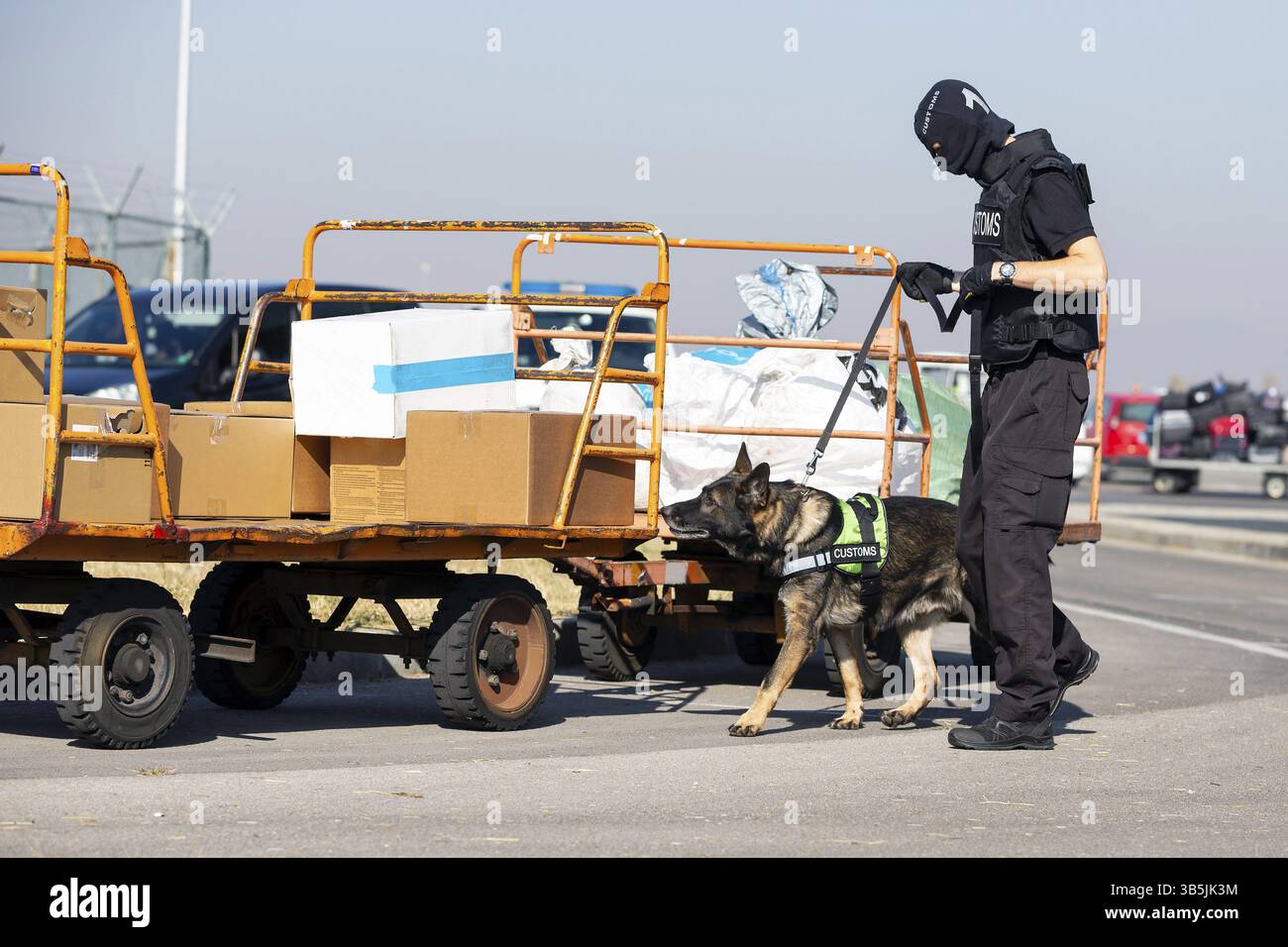Customs and Border Protection Officer e Drug enforcement administration forza speciale partecipa con un cane specializzato in un corso di formazione presso la airpo Foto Stock