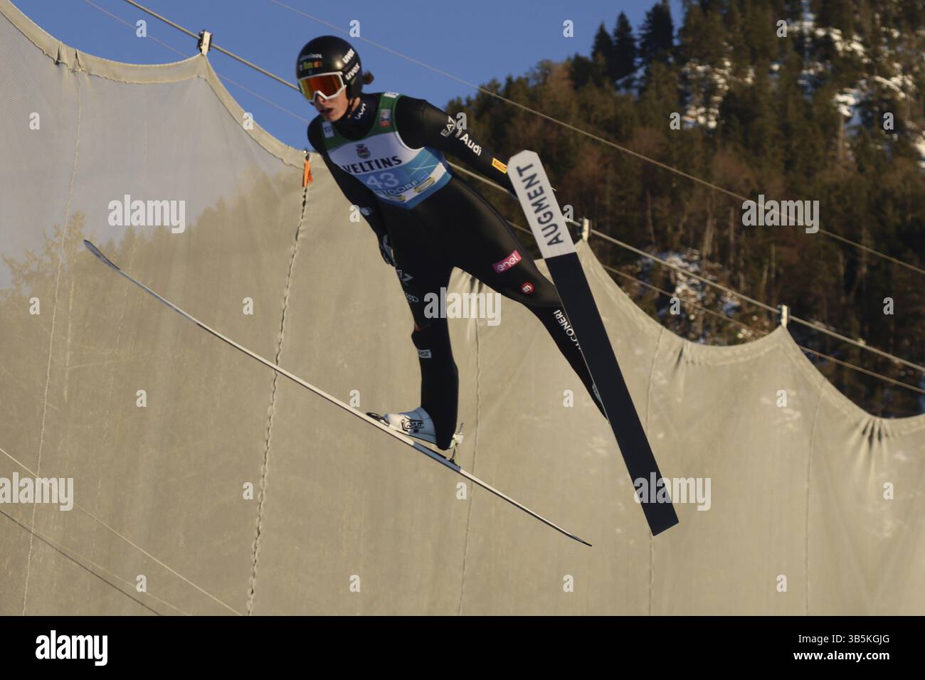 Il saltatore austriaco Alex Insam alla gara di apertura del 73° Torneo Four Hills Oberstdorf, Oberstdorf, Germania / Germania Foto Stock
