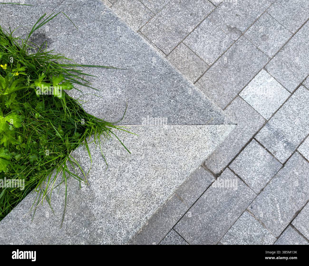 Dettaglio geometrico della pavimentazione in pietra e dell'erba verde che cresce tra le piastrelle di granito. Paesaggio urbano, contrasto tra natura e struttura, nessuna gente. Foto Stock