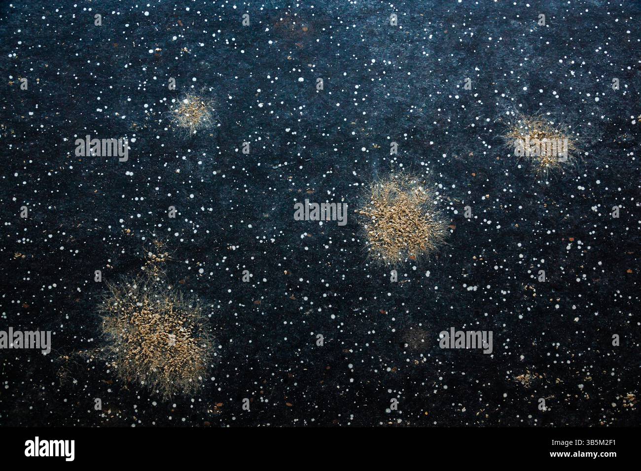 Erosione dello scafo di uno yacht da vicino. Microrganismi marini sullo scafo dello yacht. Foto Stock