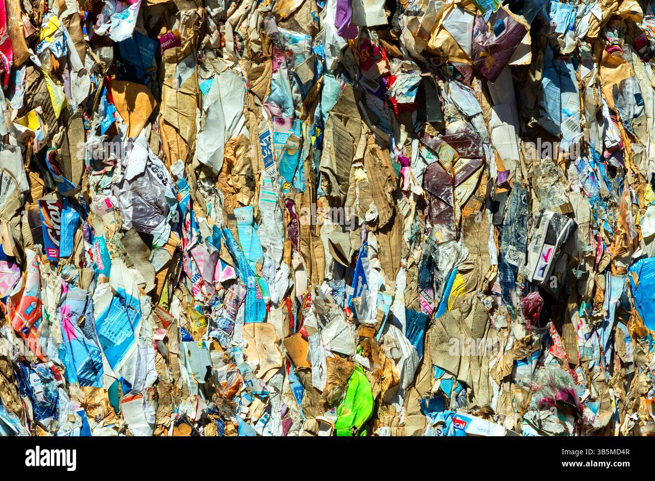 Strati luminosi e colorati di carta grattugiata formano un collage dinamico, che mostra varie sfumature e texture in un impianto di riciclaggio pieno di natura Foto Stock