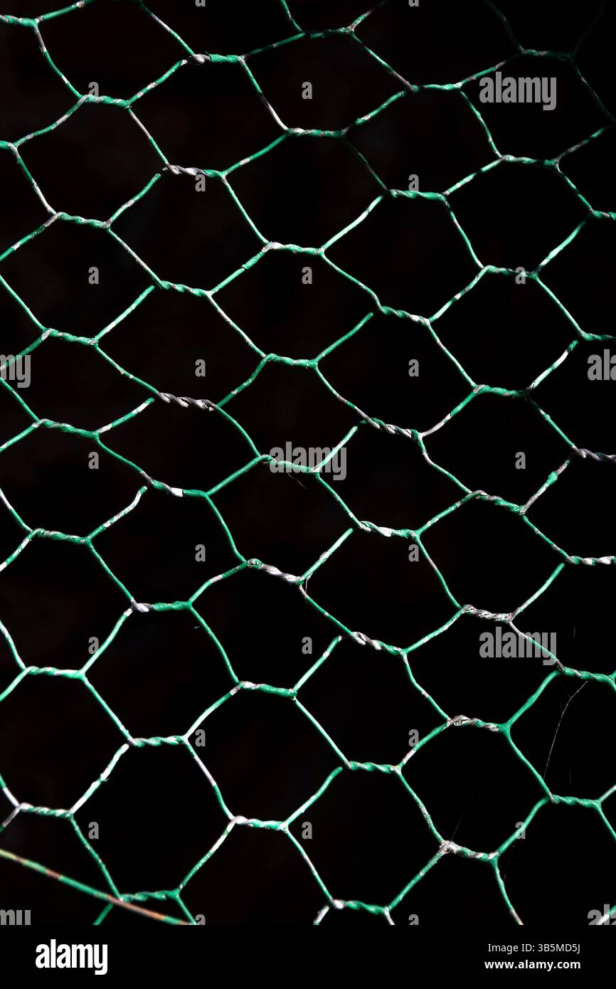 La rete metallica verde e argento presenta un motivo esagonale che fornisce un netto contrasto sullo sfondo scuro. Questo design enfatizza entrambi Foto Stock