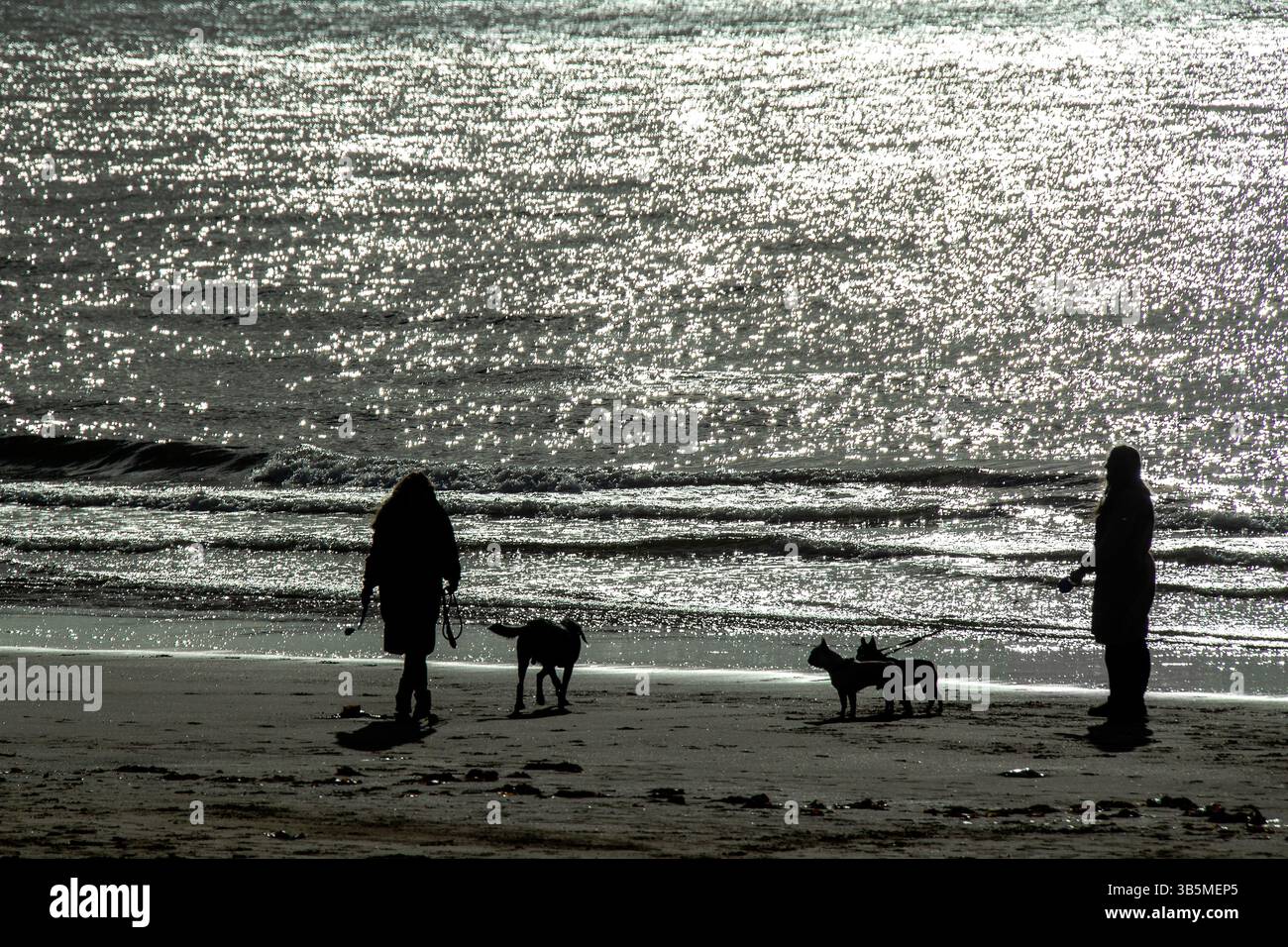 Sillhouettes di due persone che camminano con i cani sulla spiaggia con il mare Foto Stock