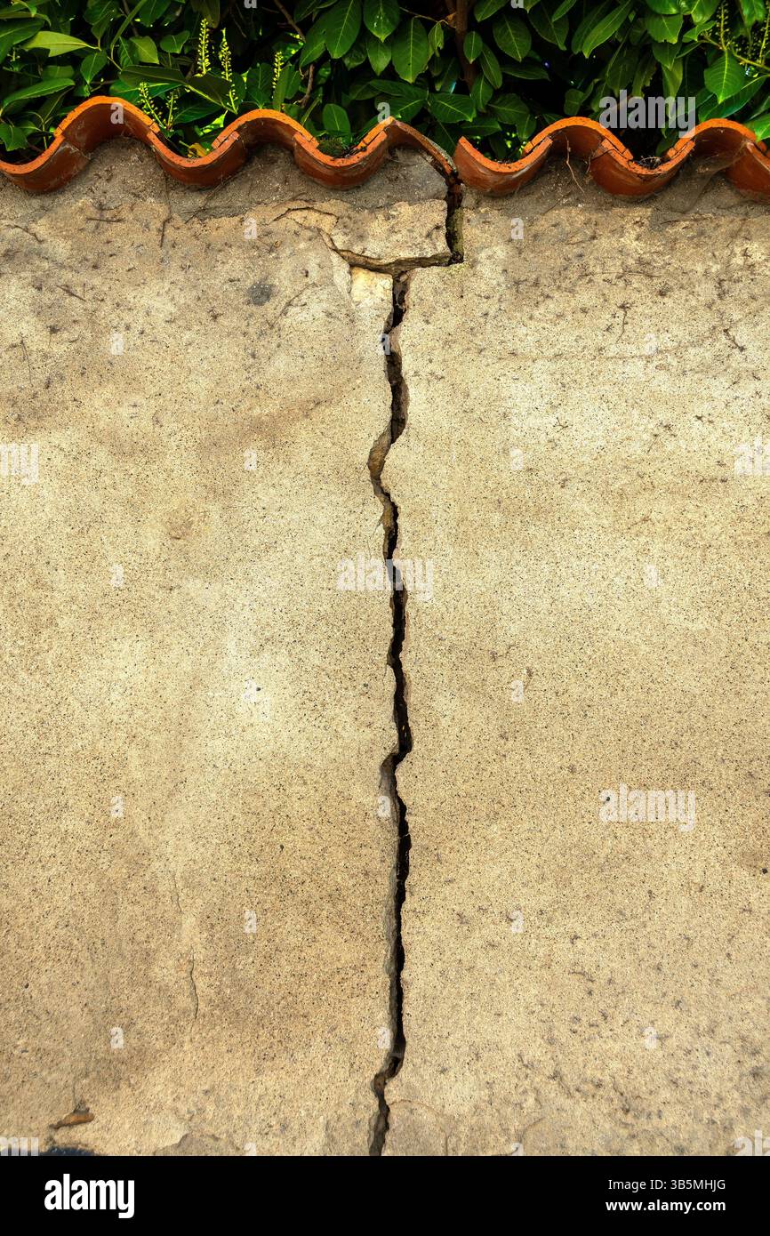 La parete incrinata con fogliame verde sullo sfondo rivela segni di deterioramento e agenti atmosferici nel tempo Foto Stock
