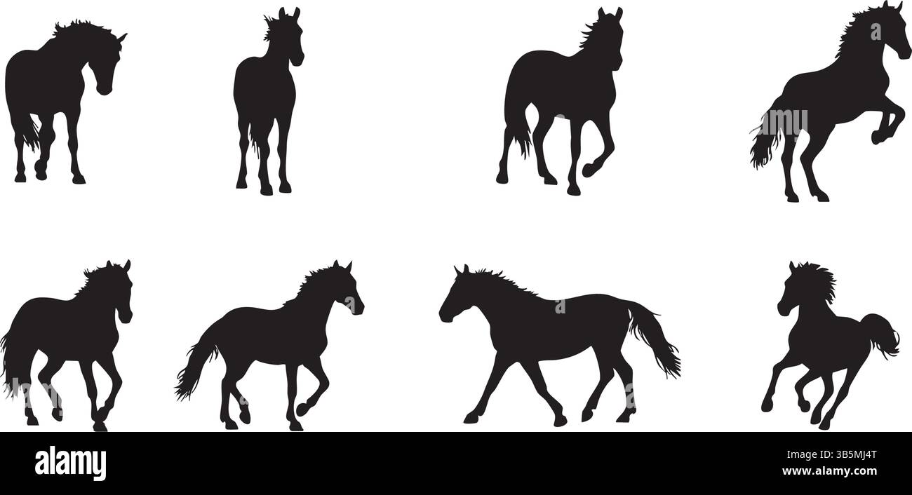 Set vettoriale per sagome di cavallo: Pose diverse e risorse grafiche per la progettazione di animali equestri Illustrazione Vettoriale
