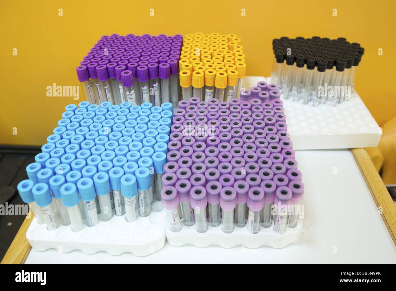 Svuotare le provette mediche per esami del sangue. Rack con provette per test e apparecchiature tecniche in laboratorio chimico. Provette preparate per la macchina per centrifuga in Hemat Foto Stock
