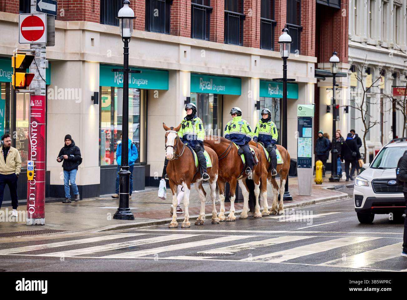 Toronto Canada, capitale della provincia canadese, Ontario, ha montato la polizia sui cavalli Foto Stock