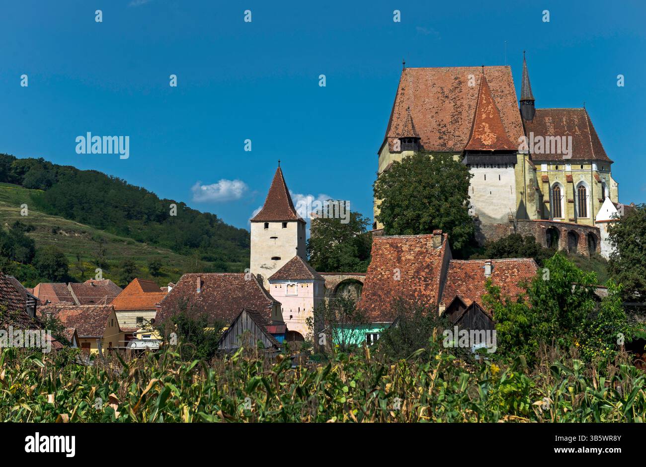 Una chiesa fortificata domina il villaggio medievale, Transilvania, Romania, Europa orientale Foto Stock