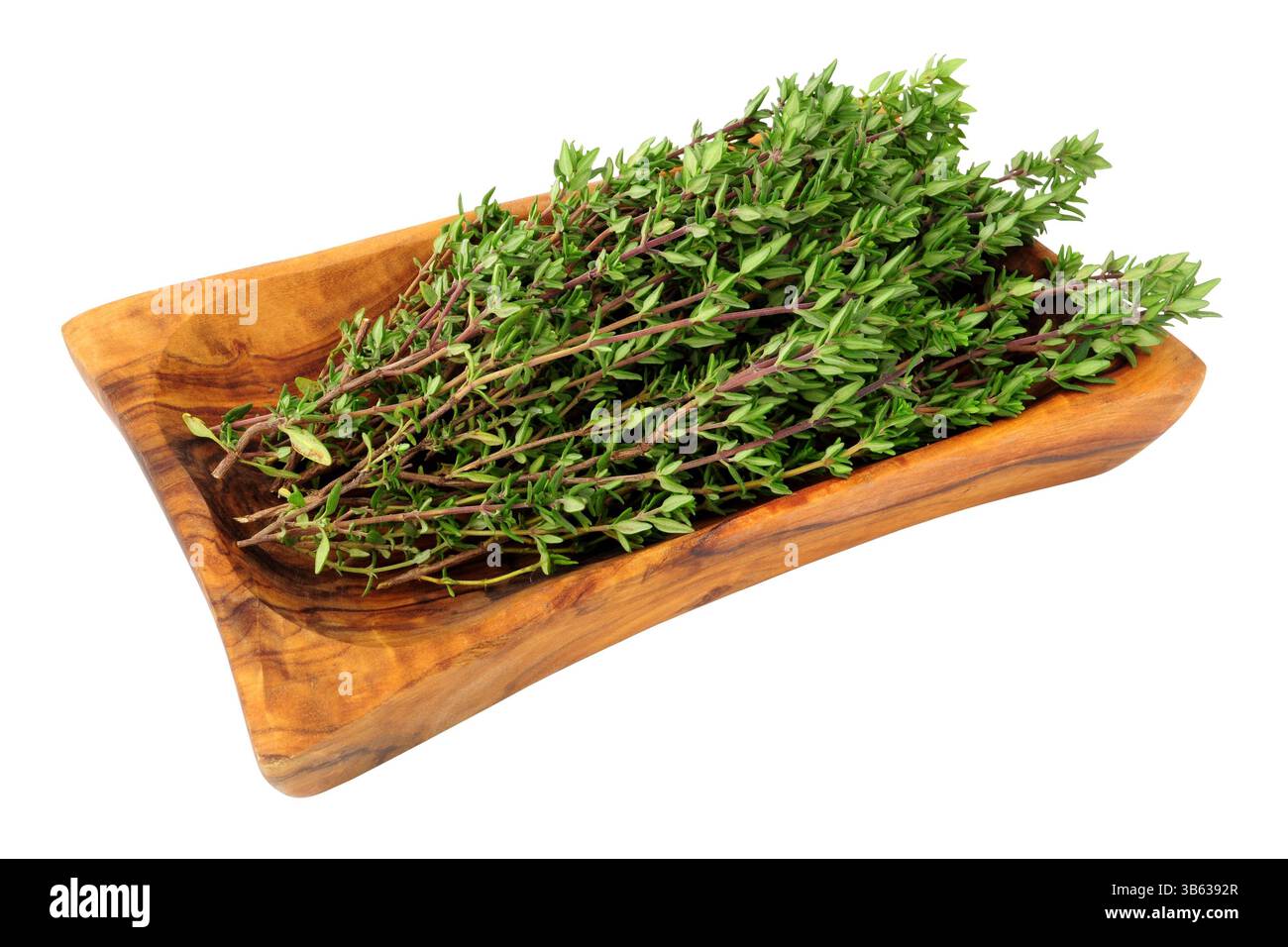 Rametti di timo appena tagliati in un piatto di legno di oliva isolato su sfondo bianco Foto Stock