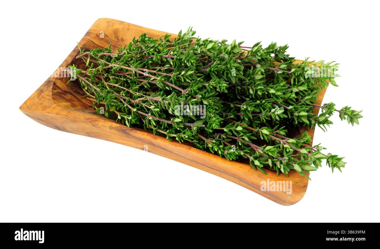 Rametti di timo appena tagliati in un piatto di legno di oliva isolato su sfondo bianco Foto Stock