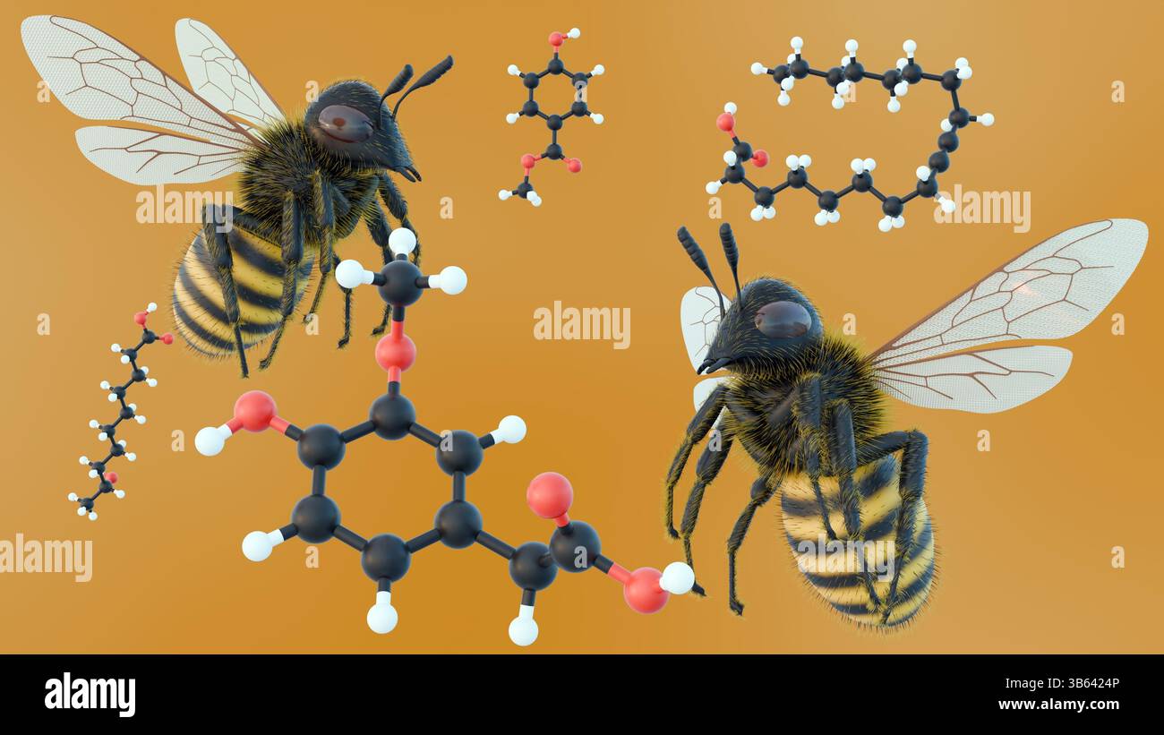 Una rappresentazione 3d dell'ape a nido d'ape in volo accanto a diverse strutture molecolari, Queen Mandibular Pheromone (QMP). Foto Stock