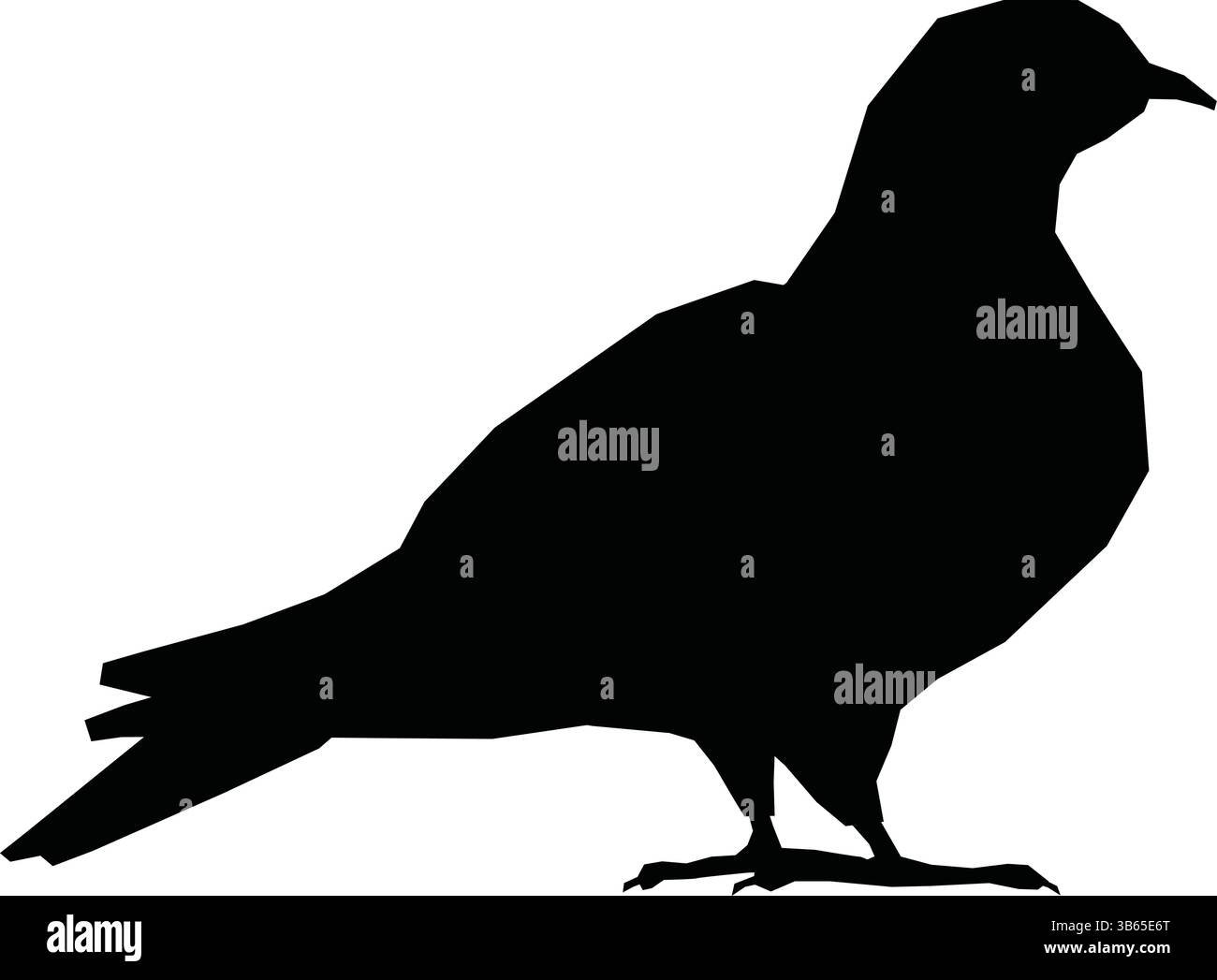 Sagoma Black Pigeon Bird isolata su sfondo bianco illustrazione vettoriale Illustrazione Vettoriale