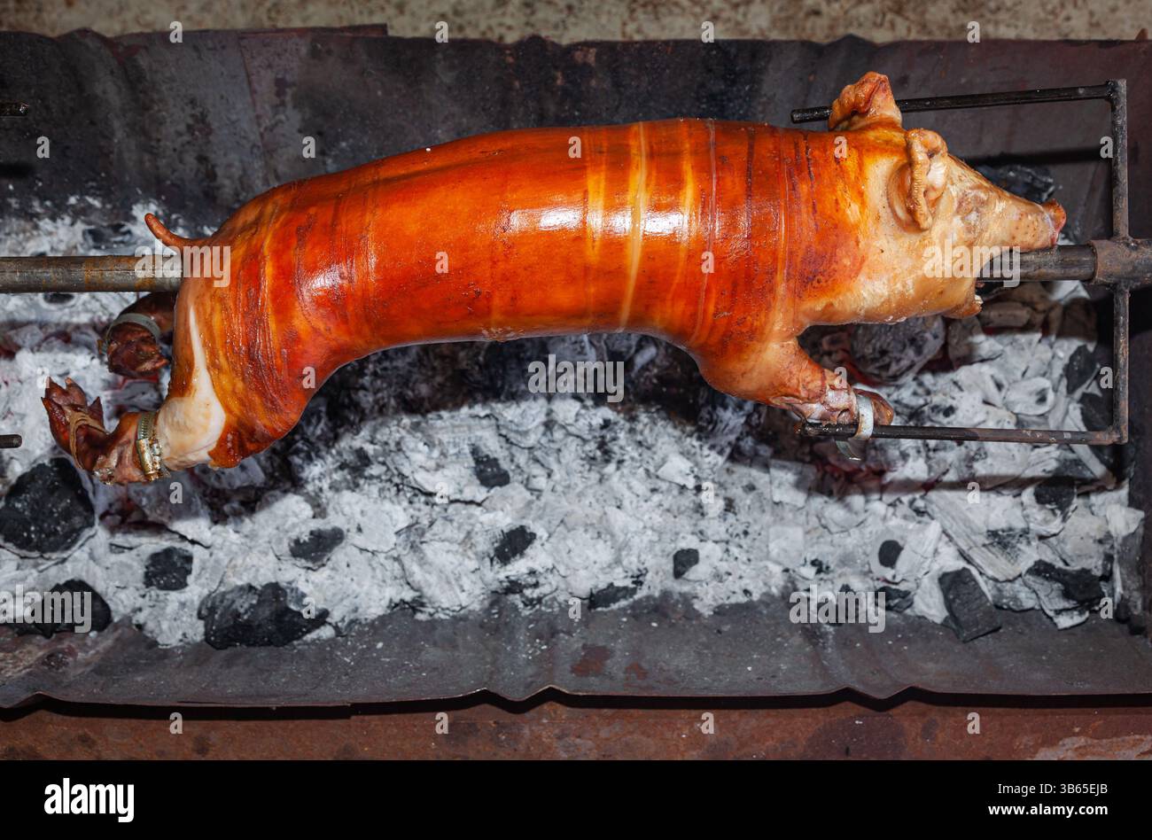 Un giovane maiale viene arrostito con uno sputo sopra i carboni. Foto Stock