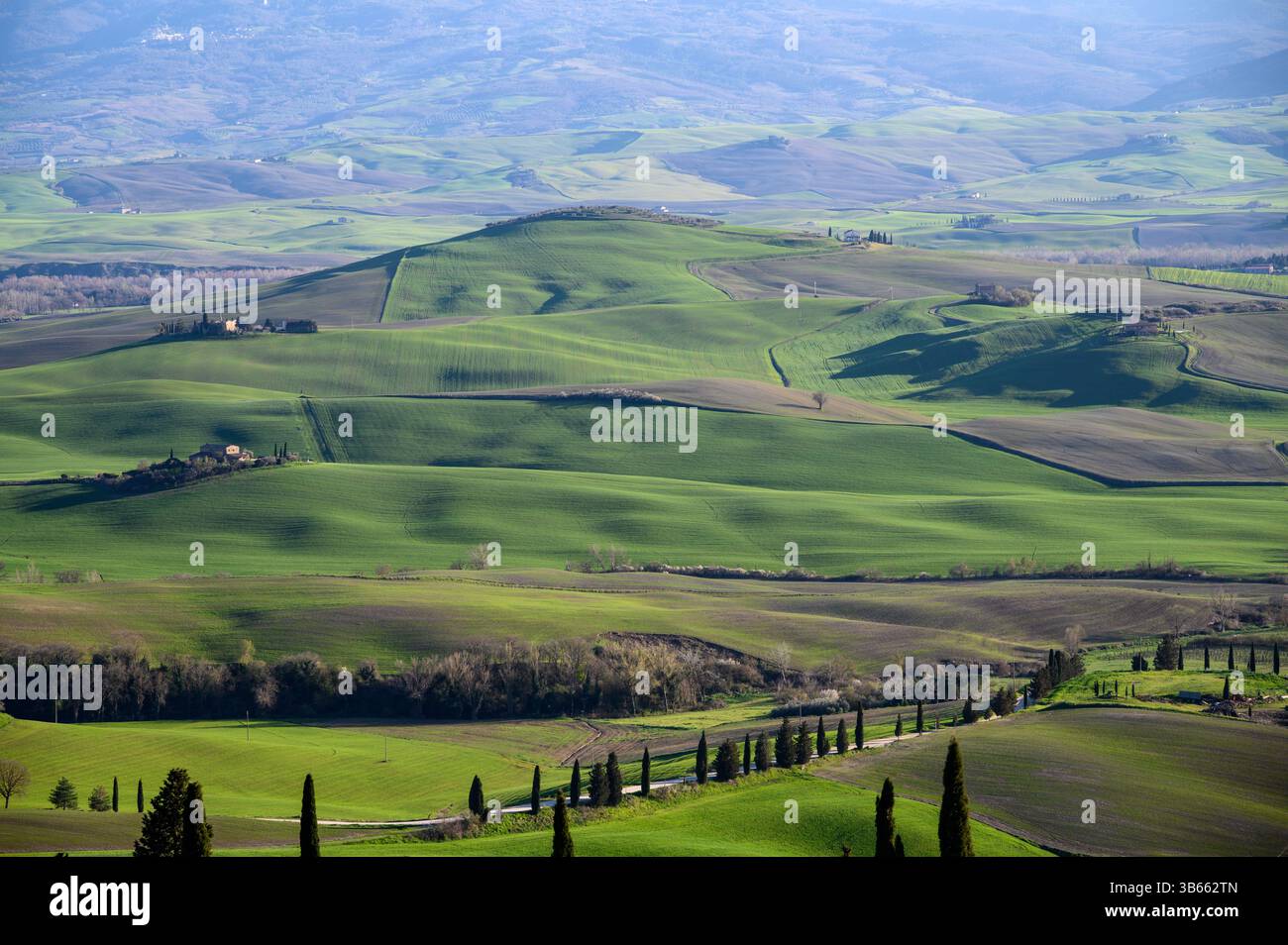 Vista tipica dall'alto della Toscana italiana vestita di verde in primavera con valli, strade e cipressi. Foto Stock