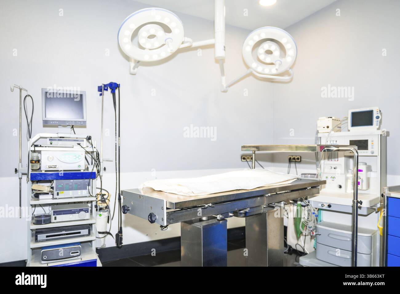 Sala operatoria veterinaria vuota dotata di lampade chirurgiche, monitor, apparecchio per anestesia e altre tecnologie avanzate, preparata per un intervento chirurgico Foto Stock