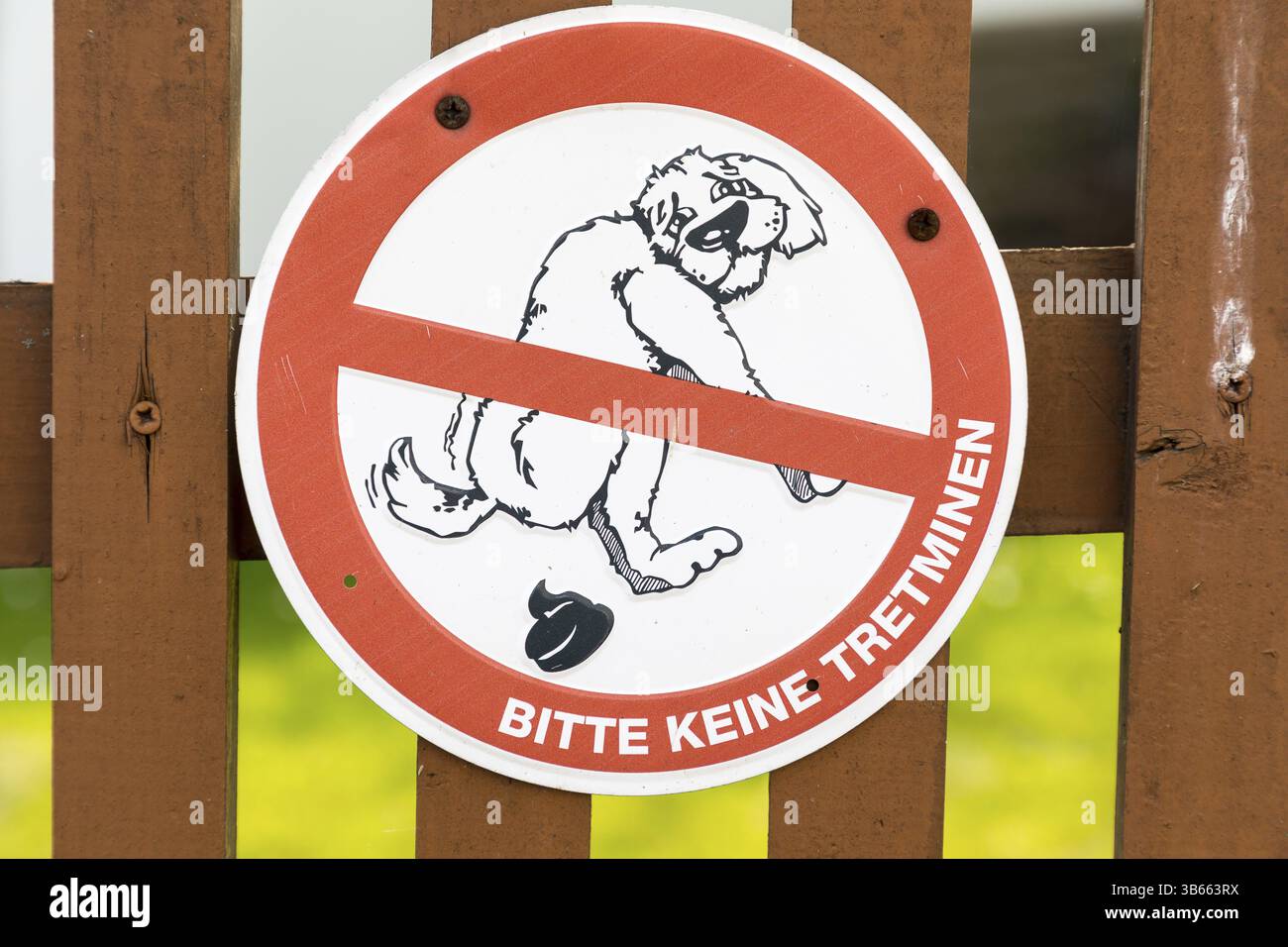 Firma su una recinzione contro cacca di cane, per favore niente mine, Sassonia, Germania, Europa Foto Stock