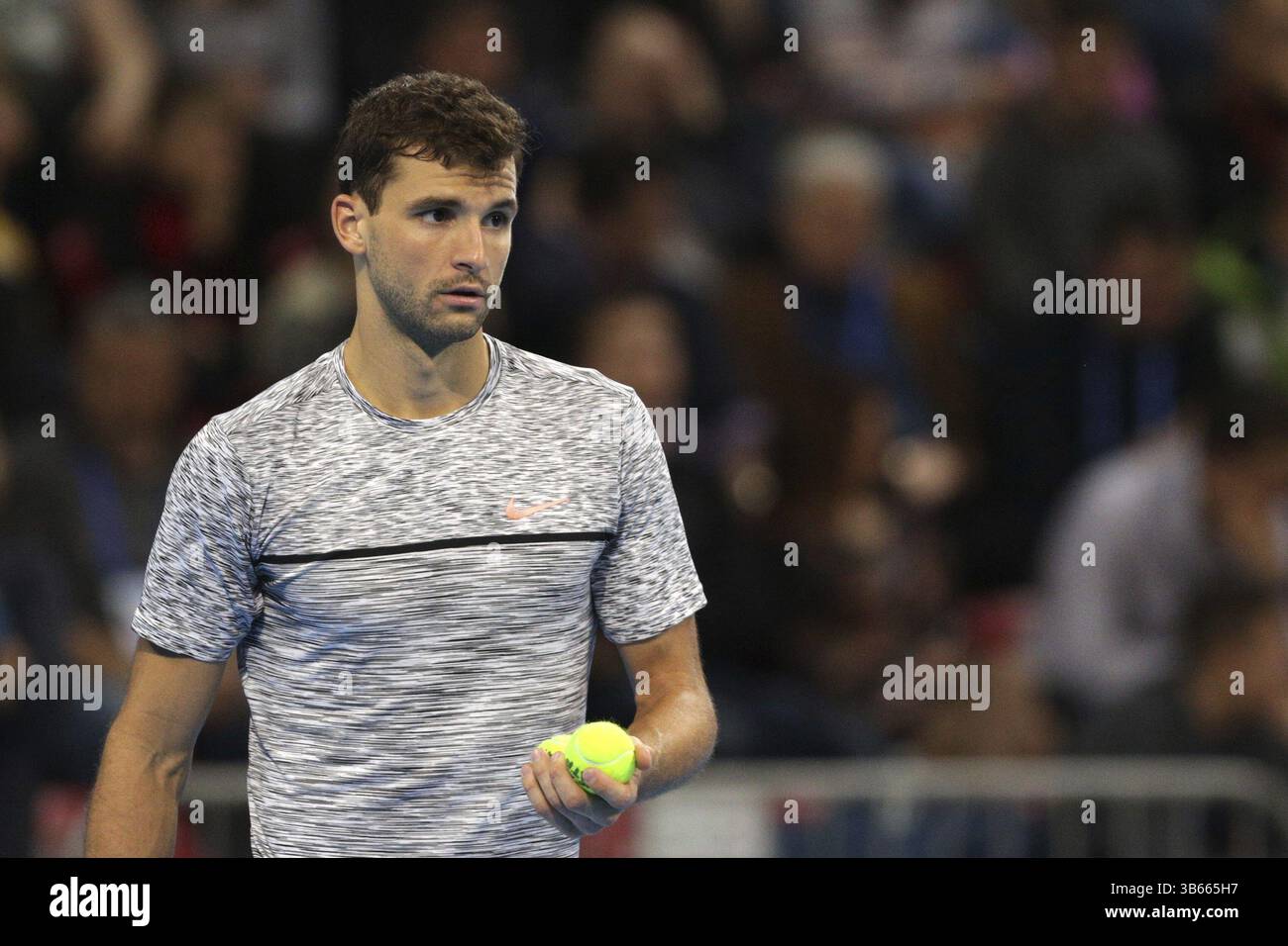 Sofia, Bulgaria - 9 Febbraio 2017: Grigor Dimitrov (nella foto) dalla Bulgaria gioca contro Jerzy Janowicz dalla Polonia durante una partita da Sofia Aperto 2 Foto Stock