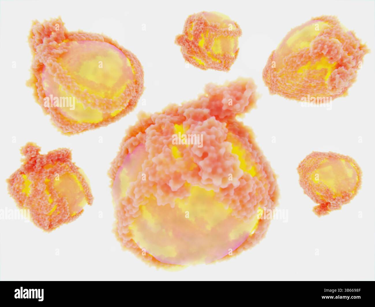 Illustrazione delle molecole di lipoproteine a bassa densità (LDL) o colesterolo "cattivo". Sono costituiti da un nucleo di molecole di colesterolo esterificato circondato da un guscio di colesterolo non esterificato e fosfolipidi (giallo). La struttura complessa include proteine portanti note come proteine APO-B (rosa), che aiutano il trasporto nel sangue. Quando ci sono alti livelli di colesterolo LDL nel sangue si accumula ai lati dei vasi sanguigni induriendoli, una condizione chiamata aterosclerosi. Ciò restringe i vasi sanguigni e può bloccarli. Foto Stock