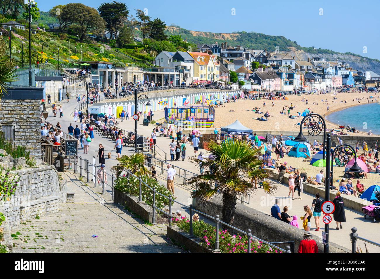 Lyme Regis, Dorset, Regno Unito. 3 maggio 2025. Meteo nel Regno Unito: I visitatori e la gente del posto si affollano nella località balneare di Lyme Regis per crogiolarsi nel caldo sole scorchinng durante il fine settimana festivo. La gente ha approfittato del fine settimana lungo prendendo il sole sulla spiaggia affollata e facendo un tuffo in mare. Crediti: Celia McMahon/Alamy Live News Foto Stock