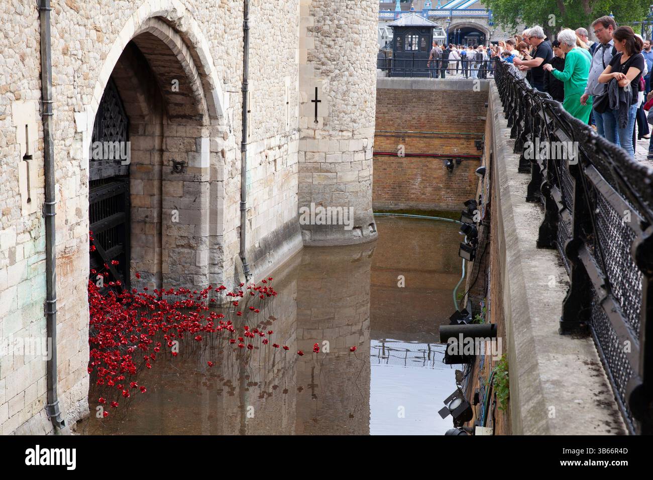 Londra, Regno Unito. 3 maggio 2025. Un'installazione di papaveri in ceramica presso la Torre di Londra è in fase di installazione per celebrare il 80° anniversario del VE Day, che cade l'8 maggio 2025. 30.000 papaveri, in prestito dall'Imperial War Museum, saranno in vigore fino al giorno dell'armistizio di novembre. Alcuni papaveri fuoriescono dalla porta dei traditori; altri si trovano all'interno del castello. Sono stati creati dall'artista Paul Cummins e sono stati installati su un progetto di Tom Piper. Crediti: Anna Watson/Alamy Live News Foto Stock