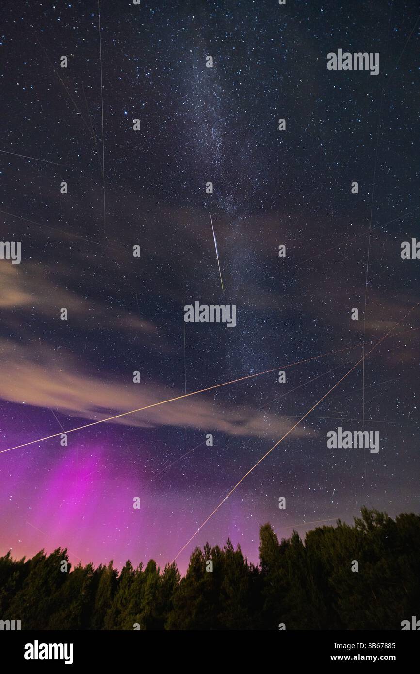 Bellissimo cielo notturno pieno di stelle e di Persidi volanti e aerei di fronte all'incredibile aurora e lungo percorso della via lattea su alte sagome di alberi Foto Stock