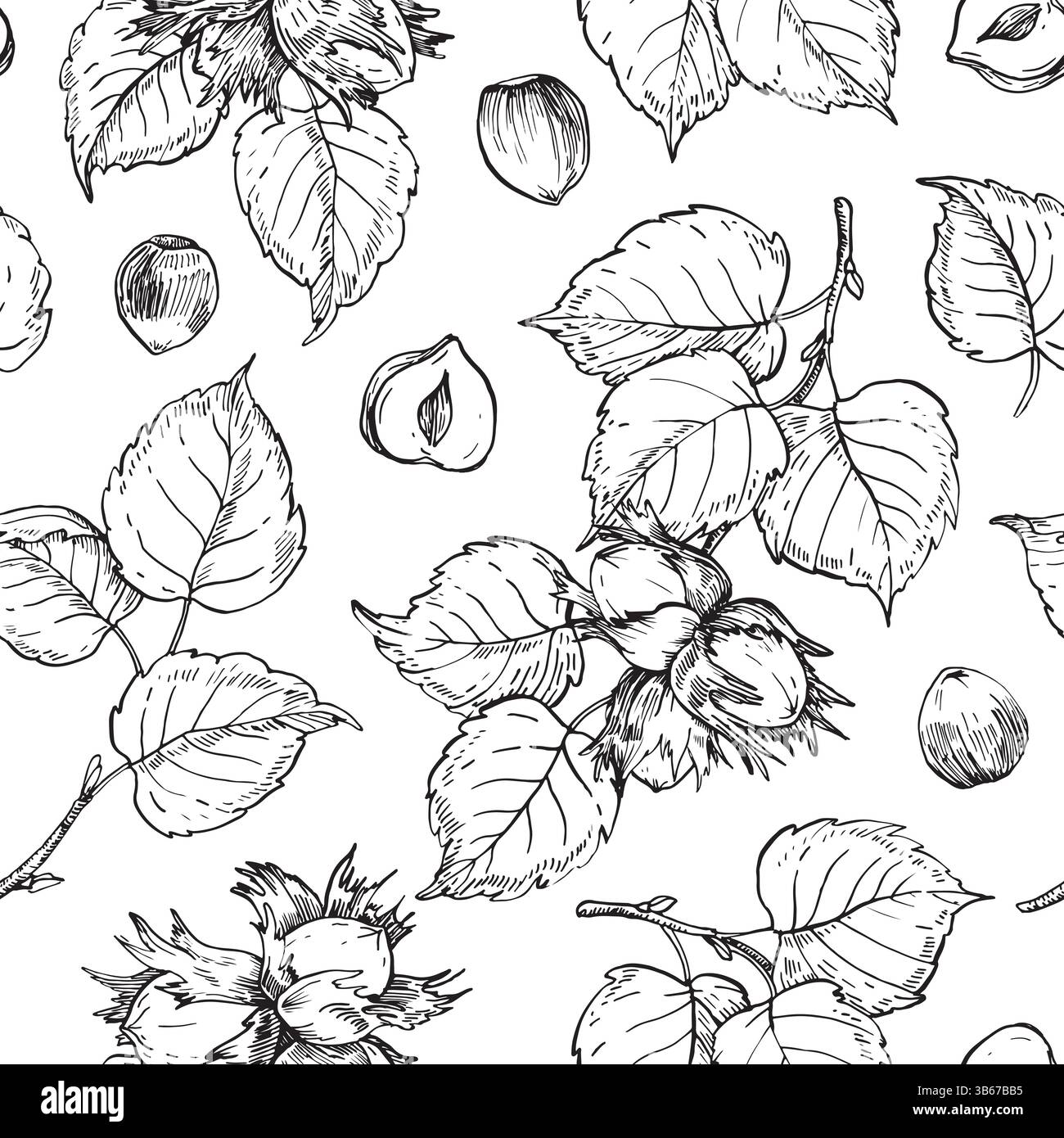 Nocciole senza cuciture con ramoscello, foglie e frutta. Sfondo bianco e nero vettoriale Illustrazione Vettoriale