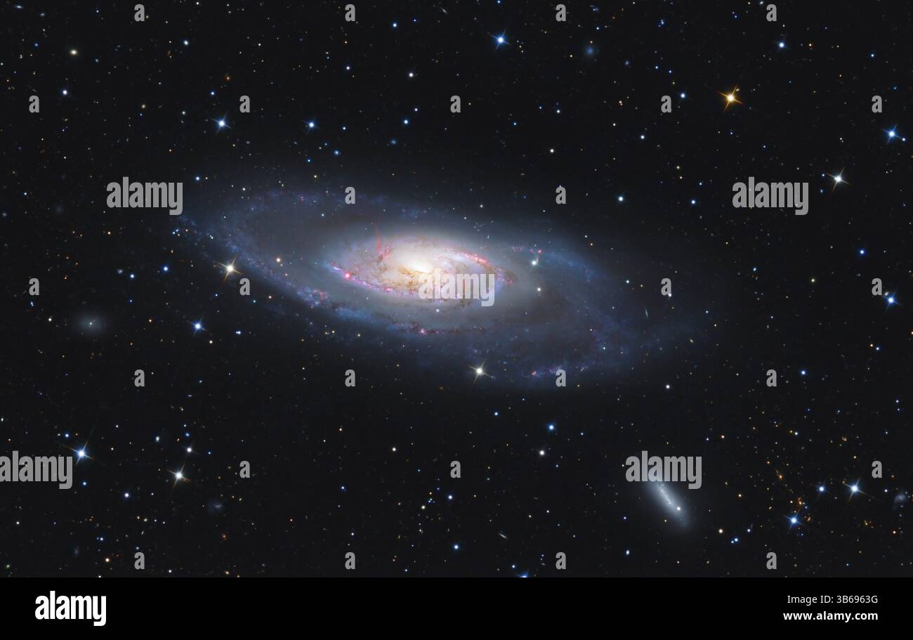 Messier 106 galassia a spirale. Foto Stock