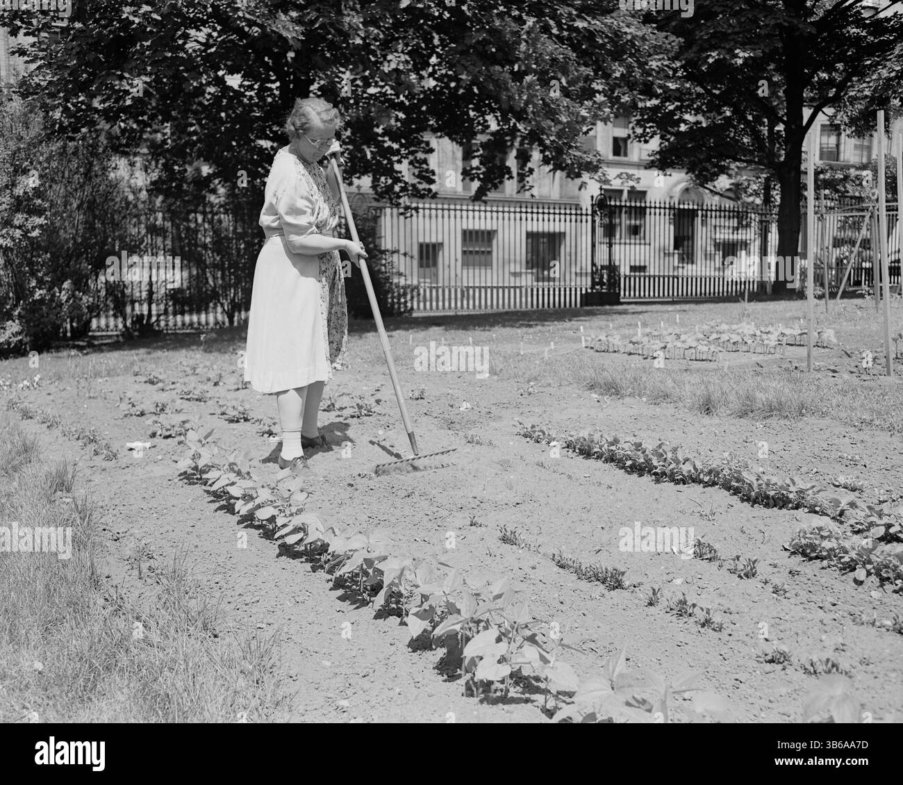 New York, New York. Vittorie giardinaggio nella tenuta di Charles Schwab, 1944. Foto Stock