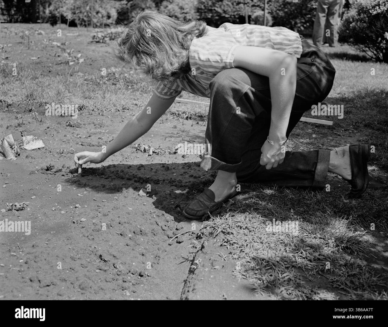 New York, New York. Vittorie giardinaggio nella tenuta di Charles Schwab, 1944. Foto Stock