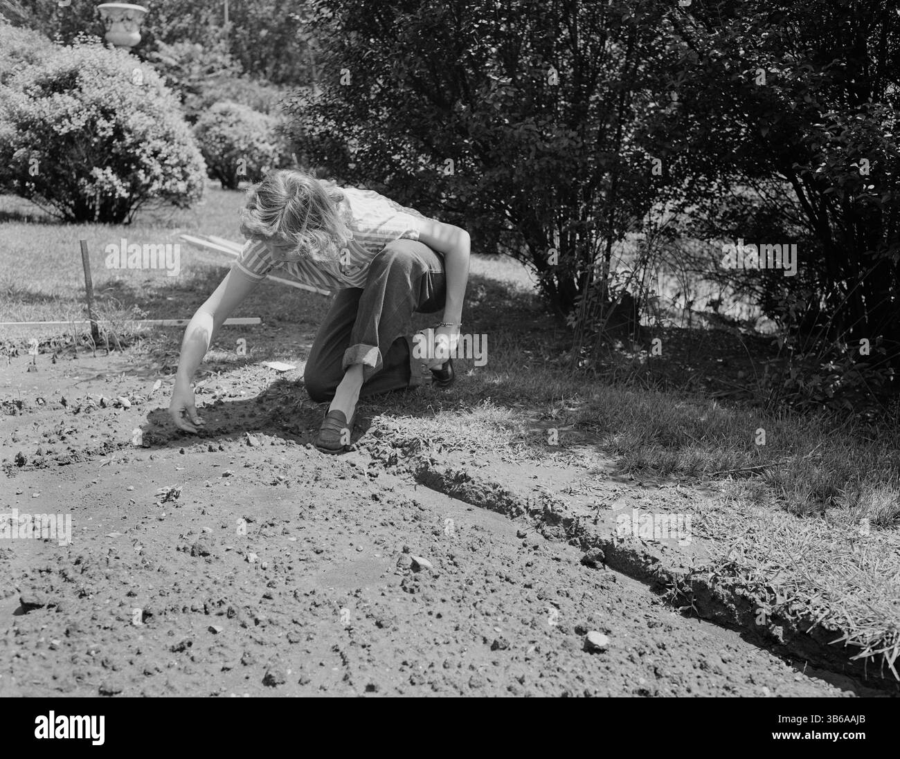 New York, New York. Vittorie giardinaggio nella tenuta di Charles Schwab, 1944. Foto Stock