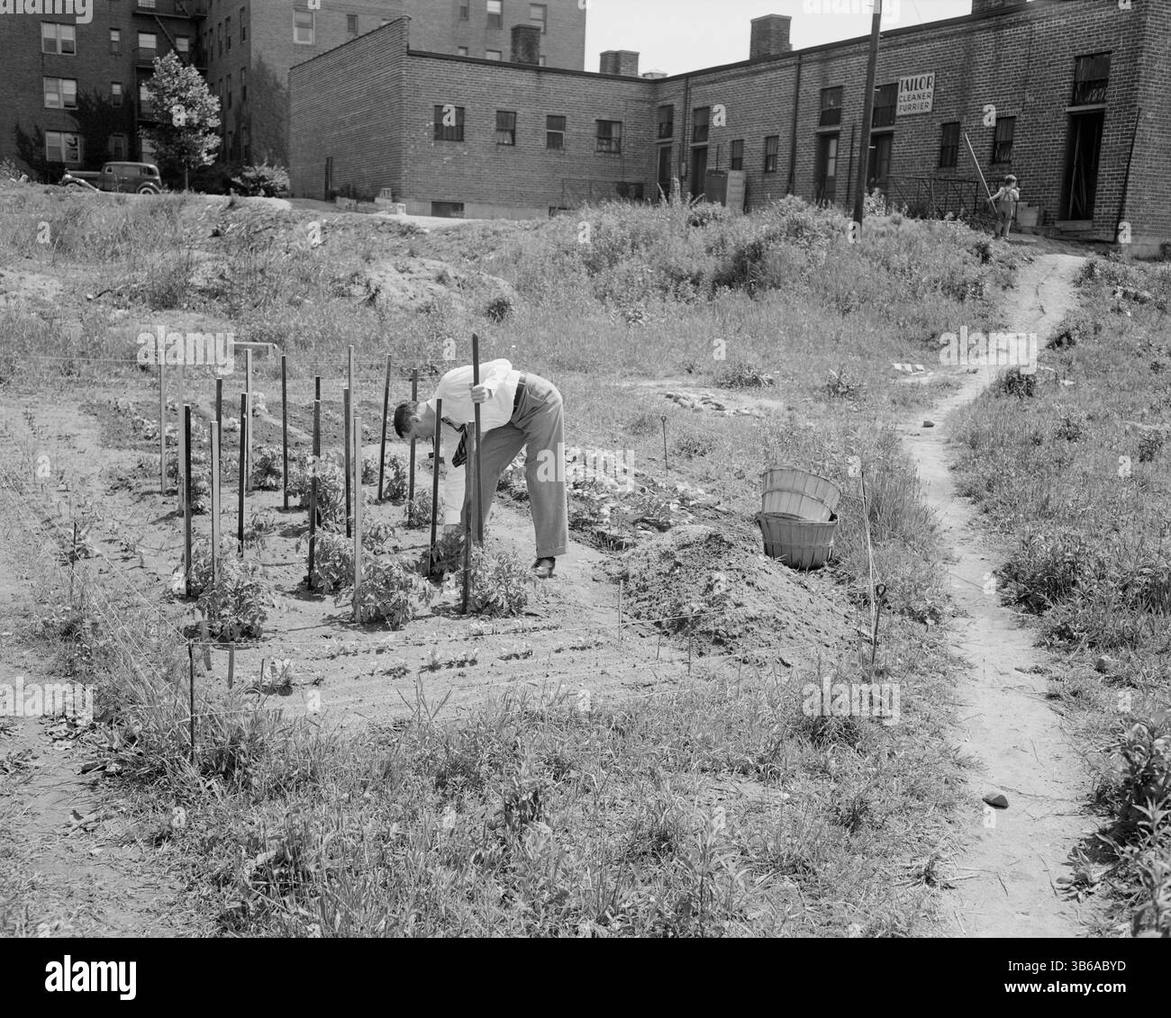 New York, New York. Vittorie giardinaggio a Forest Hills, Queens, 1944. Foto Stock
